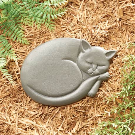 Shop Cat Stepping Stone