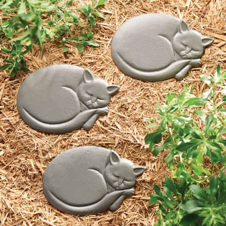 Cat Stepping Stone