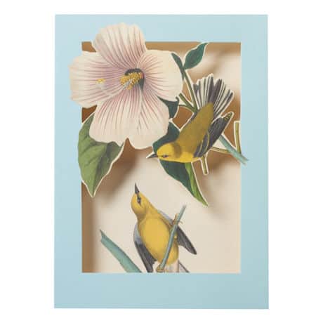 Audubon Birds Pop-Up Cards Set