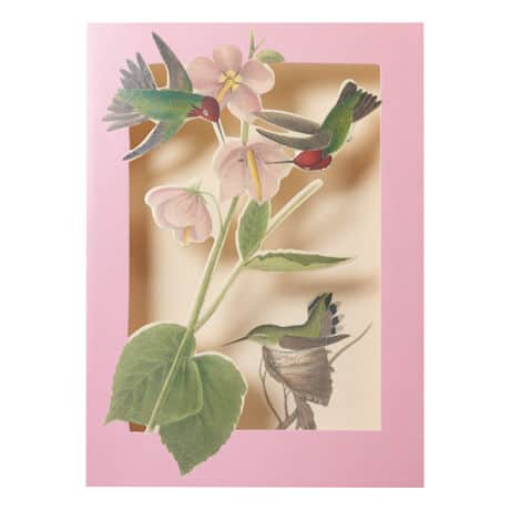 Audubon Birds Pop-Up Cards Set