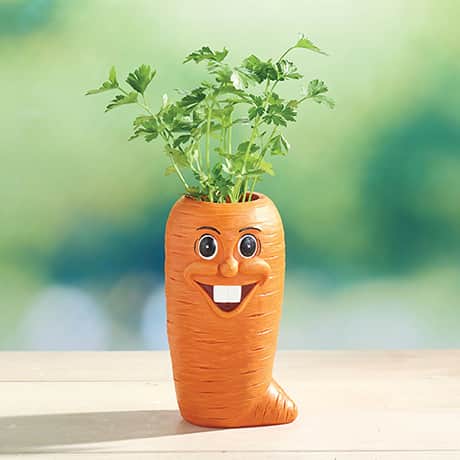 Veggie Herb Pot