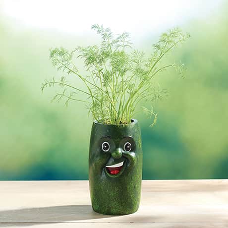 Veggie Herb Pot
