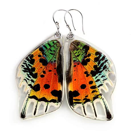 Sunset Butterfly Wing Earrings