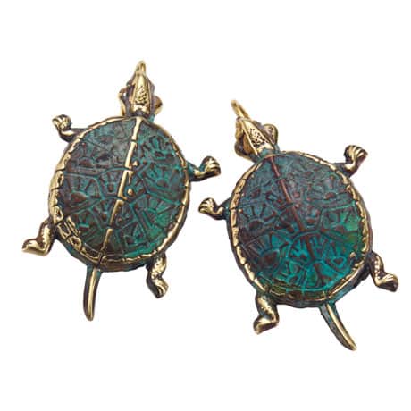 Box Turtle Earrings