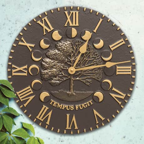 Tempus Fugit Outdoor Clock Time