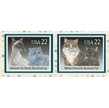 Cats Rule Photo Frame