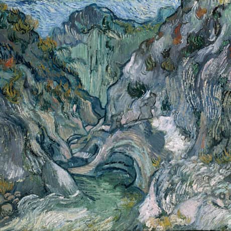 Van Gogh Ravine Reversible Rain Cape