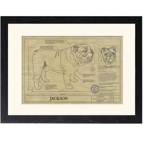 Personalized Framed Dog Breed Architectural Renderings - English Bulldog