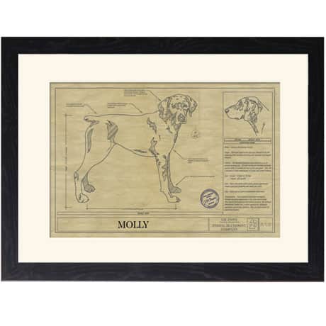 Personalized Framed Dog Breed Architectural Renderings - German Shorthair Pointer