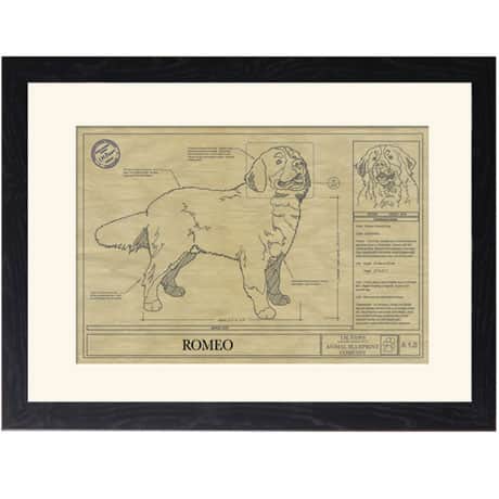 Personalized Framed Dog Breed Architectural Renderings - Bernese Mountain Dog