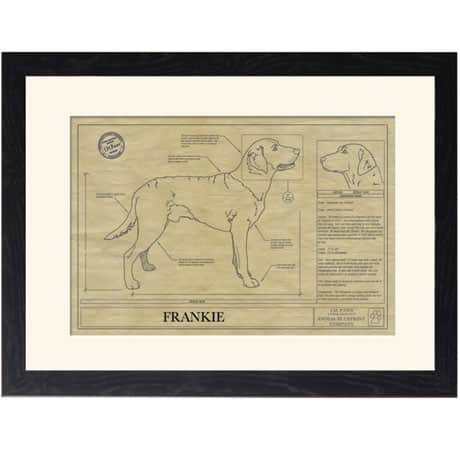Personalized Framed Dog Breed Architectural Renderings - Chesapeake Bay Retriever