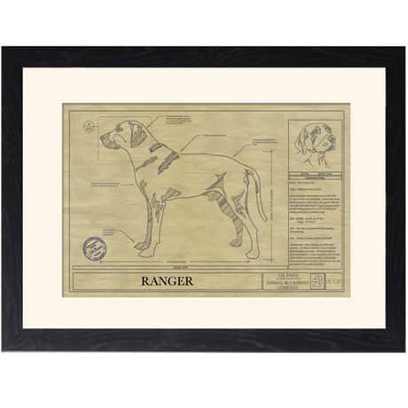 Personalized Framed Dog Breed Architectural Renderings - Black Mouth Cur