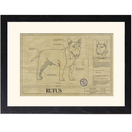 Personalized Framed Dog Breed Architectural Renderings - Bull Terrier