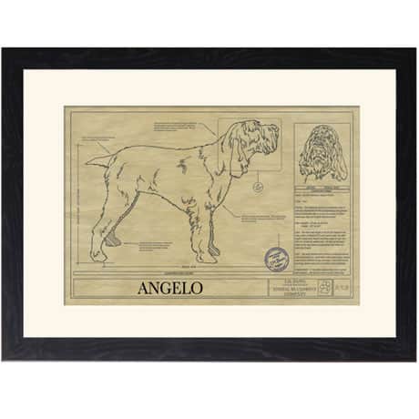 Personalized Framed Dog Breed Architectural Renderings - Italian Pointer