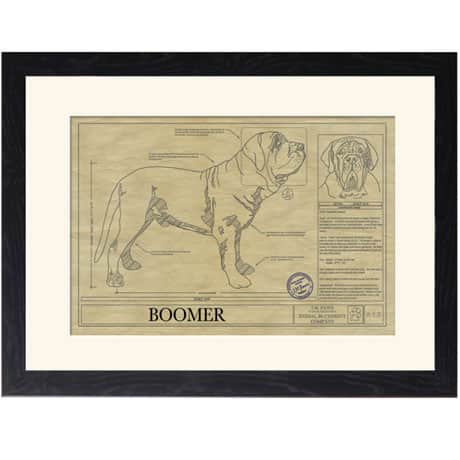 Personalized Framed Dog Breed Architectural Renderings - Neapolitan Mastiff