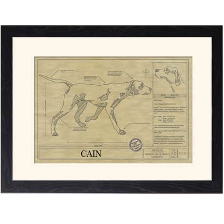 Personalized Framed Dog Breed Architectural Renderings - Pointer