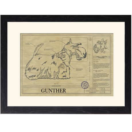 Personalized Framed Dog Breed Architectural Renderings - Scottish Terrier
