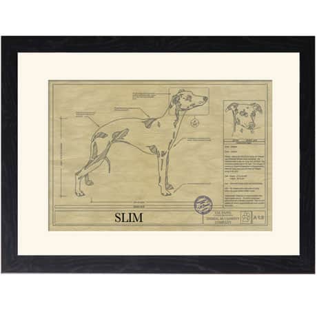 Personalized Framed Dog Breed Architectural Renderings - Whippet