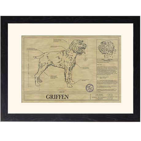 Personalized Framed Dog Breed Architectural Renderings - Wirehaired Pointing Griffon