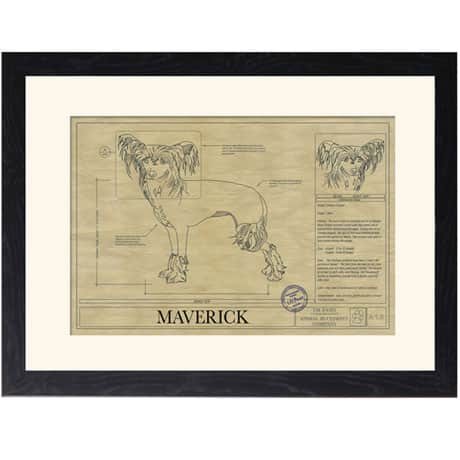 Personalized Framed Dog Breed Architectural Renderings -Chinese Crested