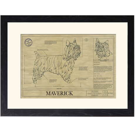 Personalized Framed Dog Breed Architectural Renderings -Silky Terrier