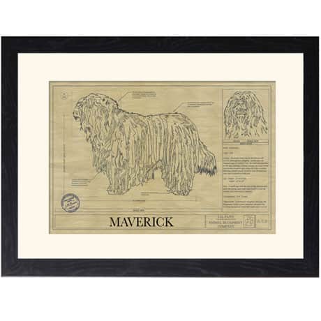 Personalized Framed Dog Breed Architectural Renderings -Bergamasco