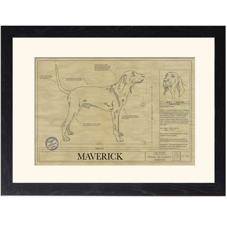 Personalized Framed Dog Breed Architectural Renderings -Bluetick Coonhound