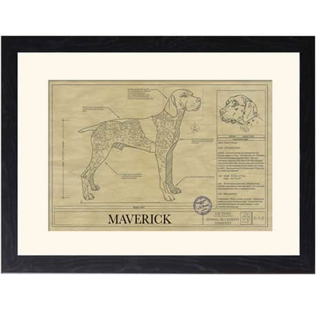Personalized Framed Dog Breed Architectural Renderings -Braque Francais