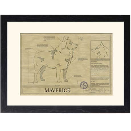 Personalized Framed Dog Breed Architectural Renderings -Schipperke