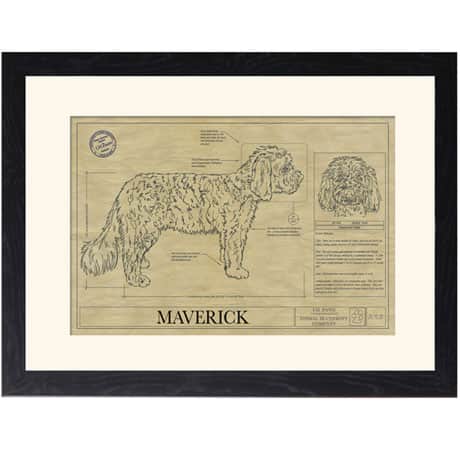 Personalized Framed Dog Breed Architectural Renderings -Shih-Poo