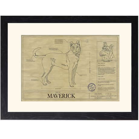Personalized Framed Dog Breed Architectural Renderings -Smooth Collie