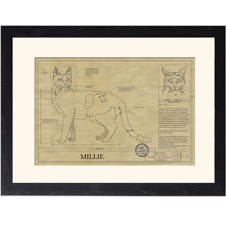 Personalized Framed Cat Breed Architectural Renderings - Calico