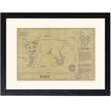 Personalized Framed Cat Breed Architectural Renderings - Devon Rex