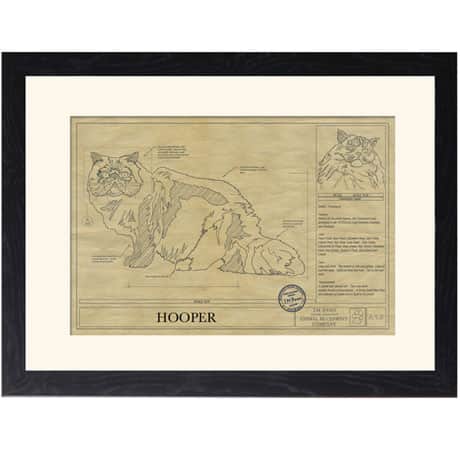 Personalized Framed Cat Breed Architectural Renderings - Himalaya