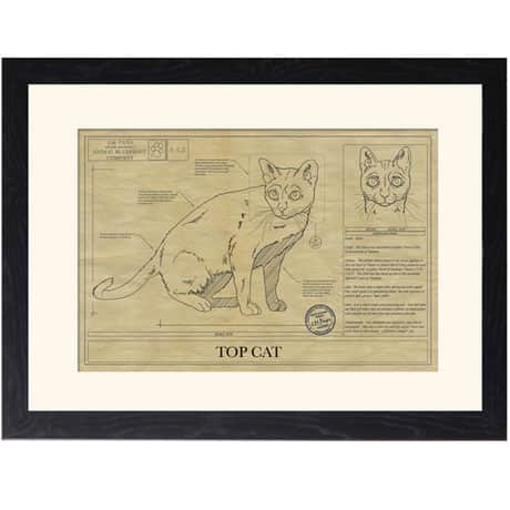 Personalized Framed Cat Breed Architectural Renderings - Korat