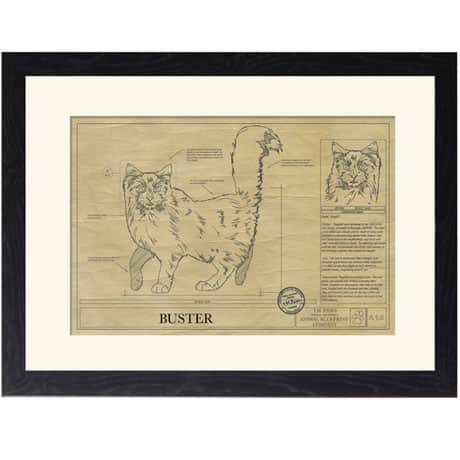 Personalized Framed Cat Breed Architectural Renderings - Ragdoll