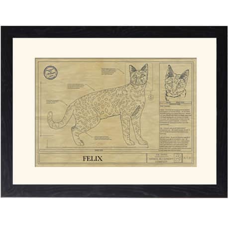 Personalized Framed Cat Breed Architectural Renderings - Savannah