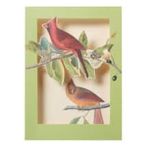 Alternate image Audubon Birds Pop-Up Cards Set