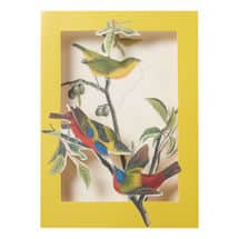Alternate image Audubon Birds Pop-Up Cards Set
