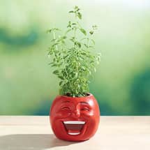Alternate image Veggie Herb Pot