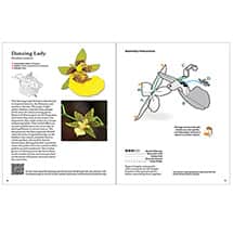 Alternate image Origami Orchids: 20 Beautiful Die-Cut Paper Models