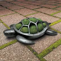 Alternate image Turtle Planter