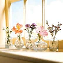 Alternate image Glass Bud Petite Vases - Set of 5