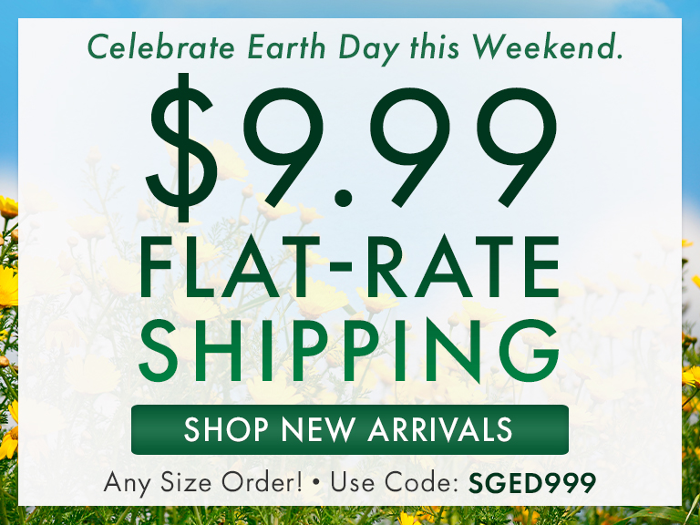 $9.99 Flat Rate Shipping on all orders. No Minimum! Use code SGED999. Expires 4/22/24.