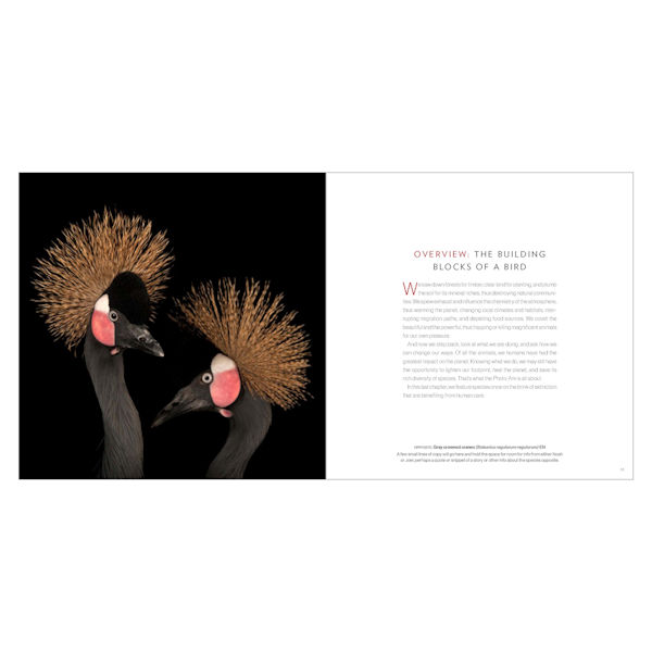 Product image for National Geographic Birds of the Photo Ark