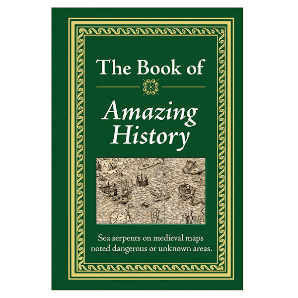 Product image for Book of Amazing History 