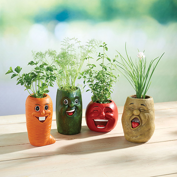 Product image for Veggie Herb Pots - Set of 4