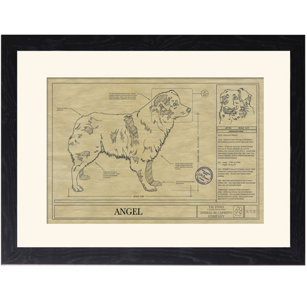 Product image for Personalized Framed Dog Breed Architectural Renderings - Australian Shepherd