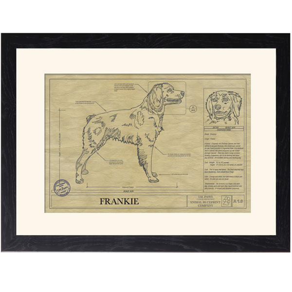 Product image for Personalized Framed Dog Breed Architectural Renderings - Brittany