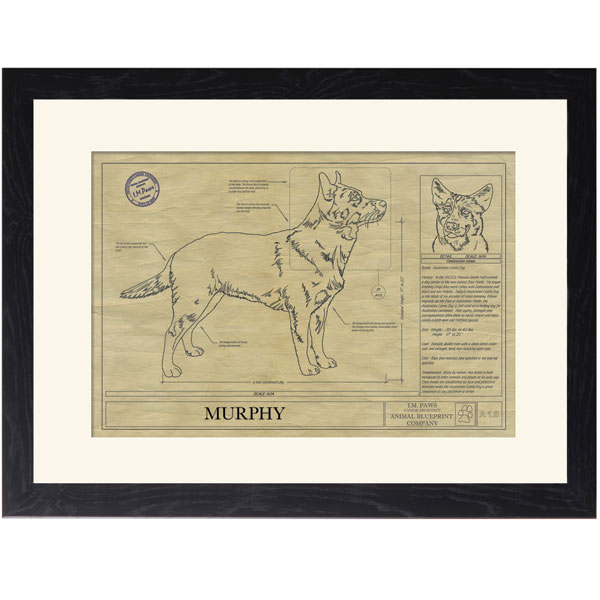 Product image for Personalized Framed Dog Breed Architectural Renderings - Australian Cattle Dog